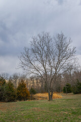 Cole Creek Trailhead in Laclede County MO