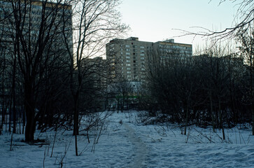 path through the forest on a winter day