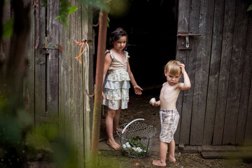 dzieci i zwierzęta - rodzeństwo pomaga przy kurach na wolnym wybiegu i zbiera jajka