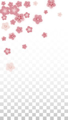 Vector Realistic Pink Flowers Falling on Transparent Background.  Spring Romantic Flowers Illustration. Flying Petals. Sakura Spa Design. Blossom Confetti. Design Elements for Wedding Decoration.