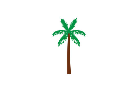 Palm, tree. Vector illustration. Flat design.