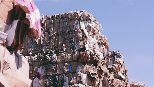 paper waste landfill. pressed waste paper and cardboard. paper recycling. landfill. ecological factory for the processing of secondary raw materials from paper and cardboard