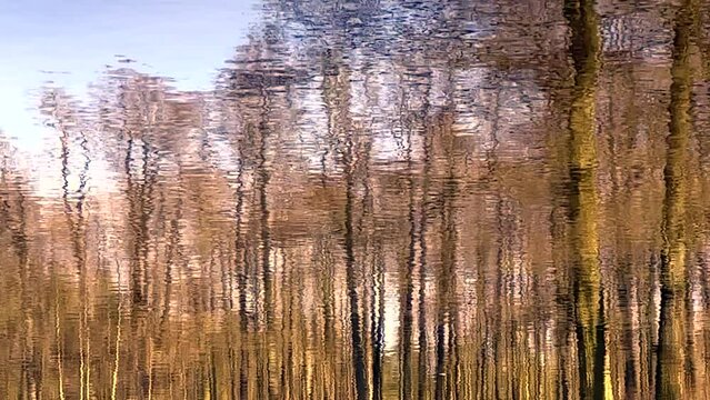 LUSTRZANE ODBICIA DRZEW W WODZIE. RUCHOME TŁO Z LUSTRZANYM ODBICIEM DRZEW W WODZIE.