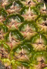 close up of the scaly skin of a pineapple fruit