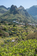 Fototapeta na wymiar Paisaje rural en el municipio de Agaete, en la zona norte de la isla de Gran Canaria