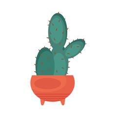 houseplant with cactu