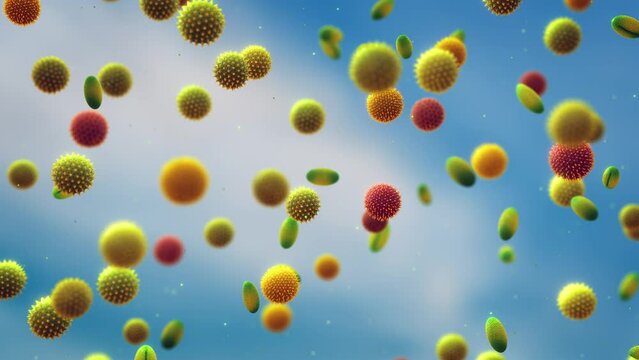 Animation of airborne pollen particles. Pollen allergy is also known as hay fever or allergic rhinitis
