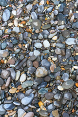 colored sea pebbles on a rocky beach close-up