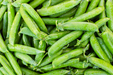 Green peas as a natural food background. Healthy vegetarian food, rich in natural protein