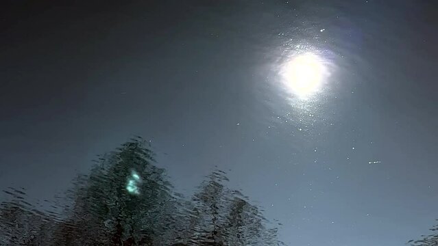 LUSTRZANE ODBICIA DRZEW W WODZIE. RUCHOME TŁO Z LUSTRZANYM ODBICIEM DRZEW W WODZIE.