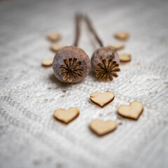 poppy head with poppy seeds on white textured background, with wooden hearts, Valentine's Day concept