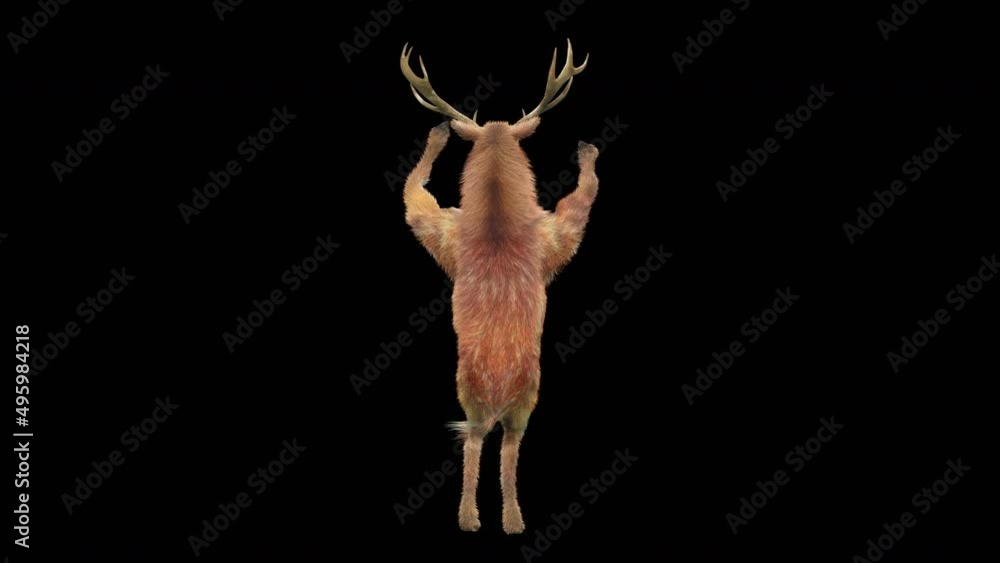 Fototapete deer dancing cg fur 3d rendering animal realistic cgi vfx animation loop composition 3d mapping cart