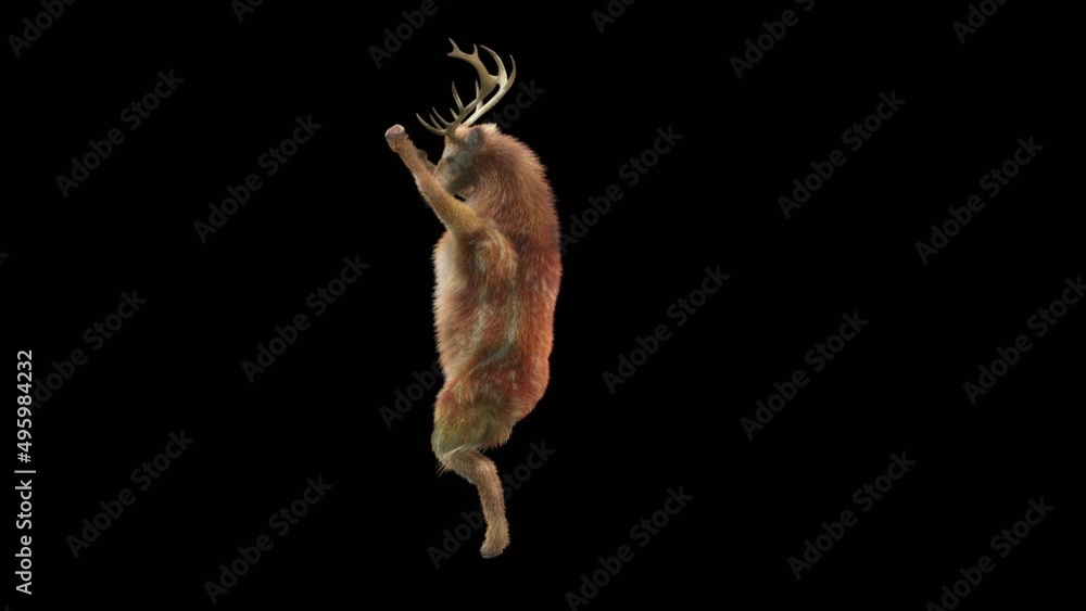 Fototapete deer dancing cg fur 3d rendering animal realistic cgi vfx animation loop composition 3d mapping cart