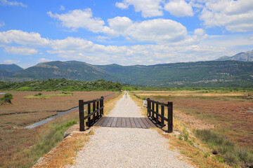 Obraz premium Wooden bridge across the river