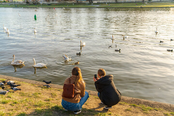 Obraz premium Two young girls in the rays of the evening sun, squatting on the banks of the river, take pictures of birds swimming in the river in front of them on a smartphone. Back view without a face