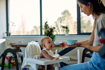 Family life. Mother feeding her baby at home