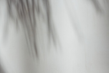 Fototapeta na wymiar Gray concrete background with palm tree leaves shadows silhouette for copy space. 
