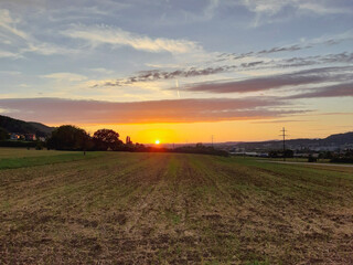 Obraz premium sunset over field