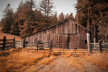 Brown tint old barn Sonoma County - obrazy, fototapety, plakaty