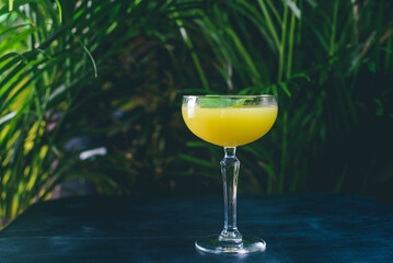 Kumquat basil martini cocktail served on the black countertop. The yellow tasty drink served in martini glass by proffesional bartender.