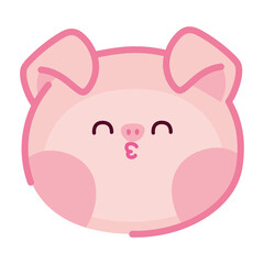 cute pig face