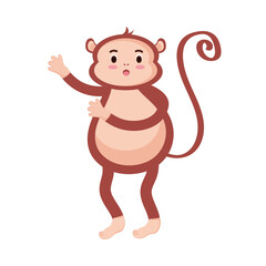 cute monkey animal