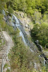 Fototapeta premium Schwarzwald Todtnauer Wasserfall mit Treppe Hochformat