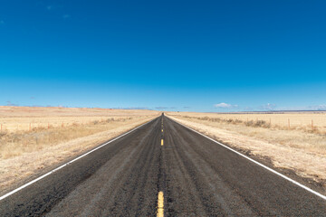 Highway vanishing into the distance in golden, grassy plains under bright blue sky depicting...