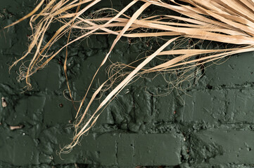 Dry palm leaves on green brick background