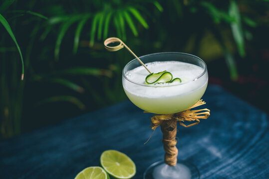 Gin gimlet cocktail garnished with cucumber served in chilled martini glass by proffesional bartender