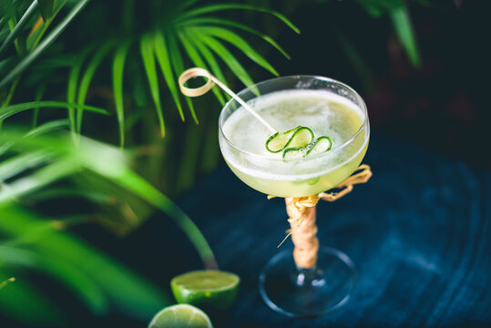 Gin gimlet cocktail garnished with cucumber served in chilled martini glass by proffesional bartender