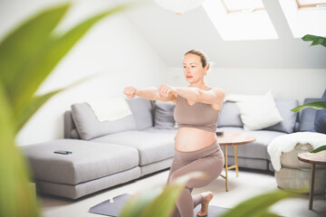 Fototapeta na wymiar Young beautiful pregnant woman training pilates at home in her living room. Healthy lifestyle and active pregnancy and motherhood concept.