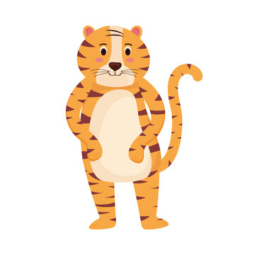 cute tiger standing