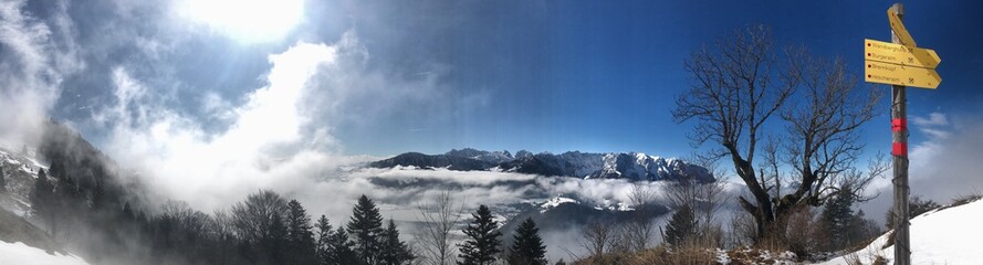 Blick auf das Kaisergebirge über dem Wolkenmeer mit Wander Wegweiser und winterlich kahlem Baum im Gegenlicht, Alpen, Tirol, Österreich