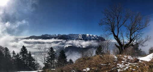 Obraz premium Blick auf das Kaisergebirge Gipfel über dem Wolkenmeer mit winterlich kahlem Baum, Alpen, Tirol, Österreich
