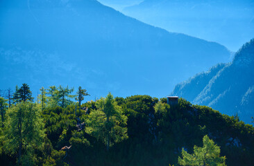 Fototapeta na wymiar Hunting tower in Austrian Alps