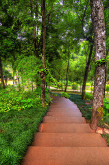 Mae Fah Luang Flower Garden In Doi Tung Chiangrai Thailand	