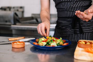 Detail of the hands of a young chief, putting on a salad plate in a professional kitchen.