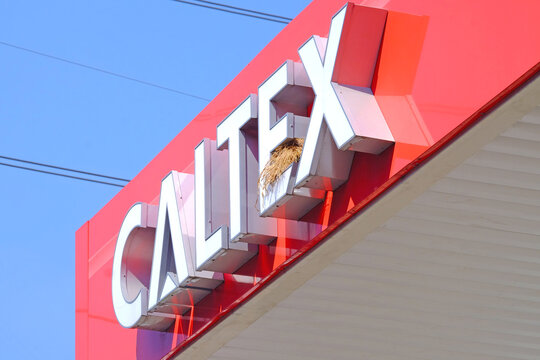 รูปภาพCaltex – เลือกดูภาพถ่ายสต็อก เวกเตอร์ และวิดีโอ161 | Adobe Stock