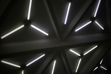 Lots of fluorescent lights on ceiling. Architecture details.