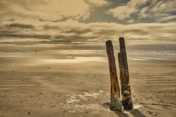 abandoned shipwreck rusting on beach