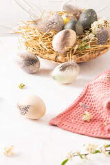 Pastel color Easter eggs feathers and blossom flowers in a nest on a white background. The minimal concept. Card with a copy of the place for the text.