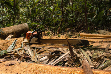 Fototapeta premium Deforestation in the Amazon, a latent problem that directly affects forests and in turn ecosystems.