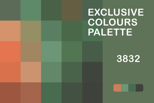 Exclusive Colours Palettte 3832