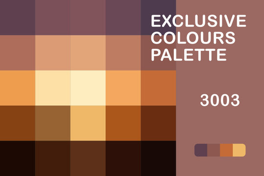 Exclusive Colours Palettte 3003