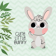 cute little bunny