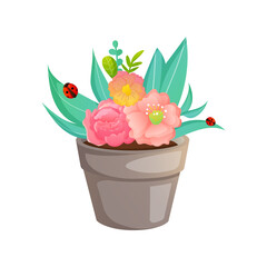 Flowers in a pot isolated on white.