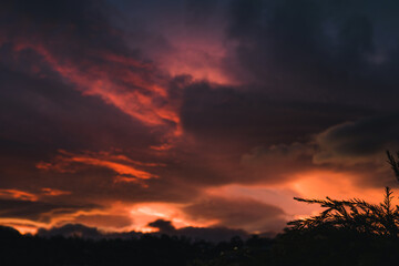 pink and purple toned sunset over the mountains and eucalyptus gum trees silhouettes, shot in Tasmania