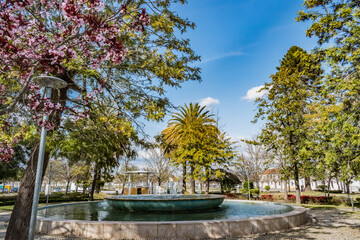 Street lamp with unfocused flower branches, fountain and bandstand in the background in the garden of Campo da Restauração, Ponte de Sor PORTUGAL