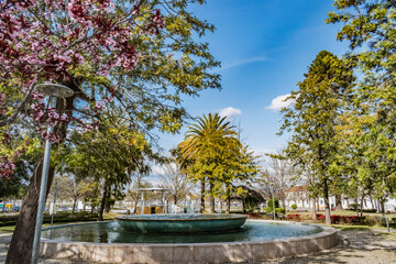 Obraz premium Street lamp with unfocused flower branches, fountain and bandstand in the background in the garden of Campo da Restauração, Ponte de Sor PORTUGAL